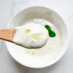 Mint Garlic Dip