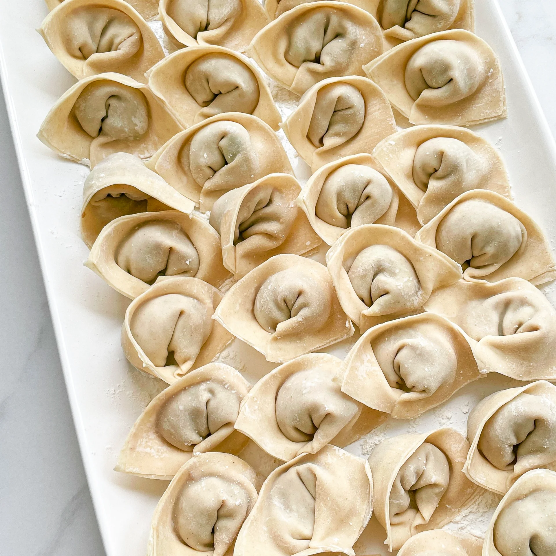 Juicy Pan-Fried Pork Dumplings