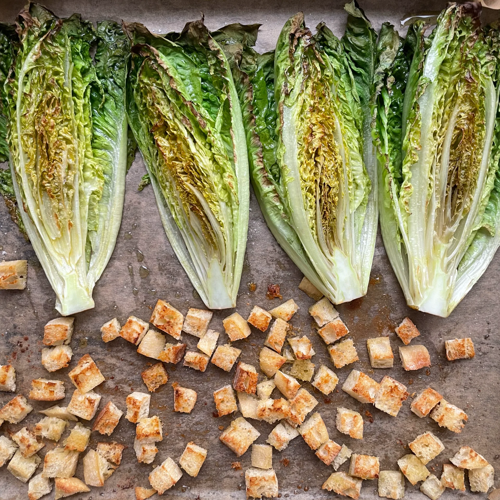 Grilled Romane Salad with Lemon Yogurt Dressing & Garlic Croutons