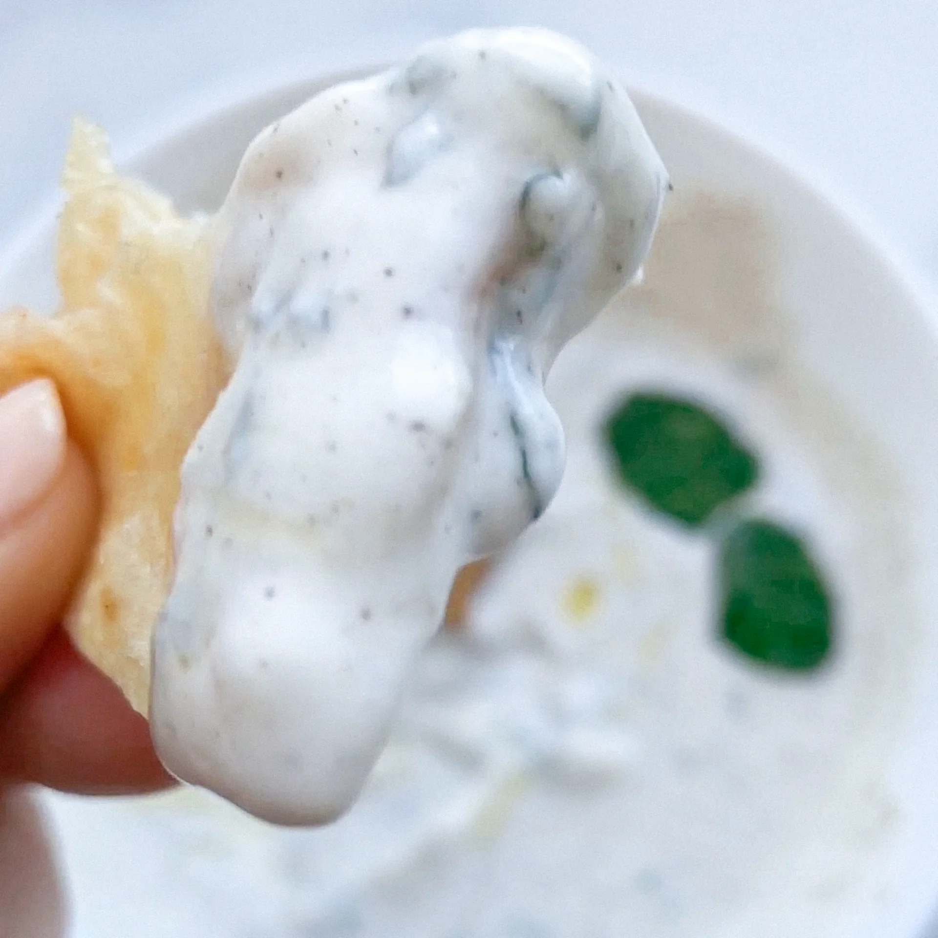 Mint Garlic Dip