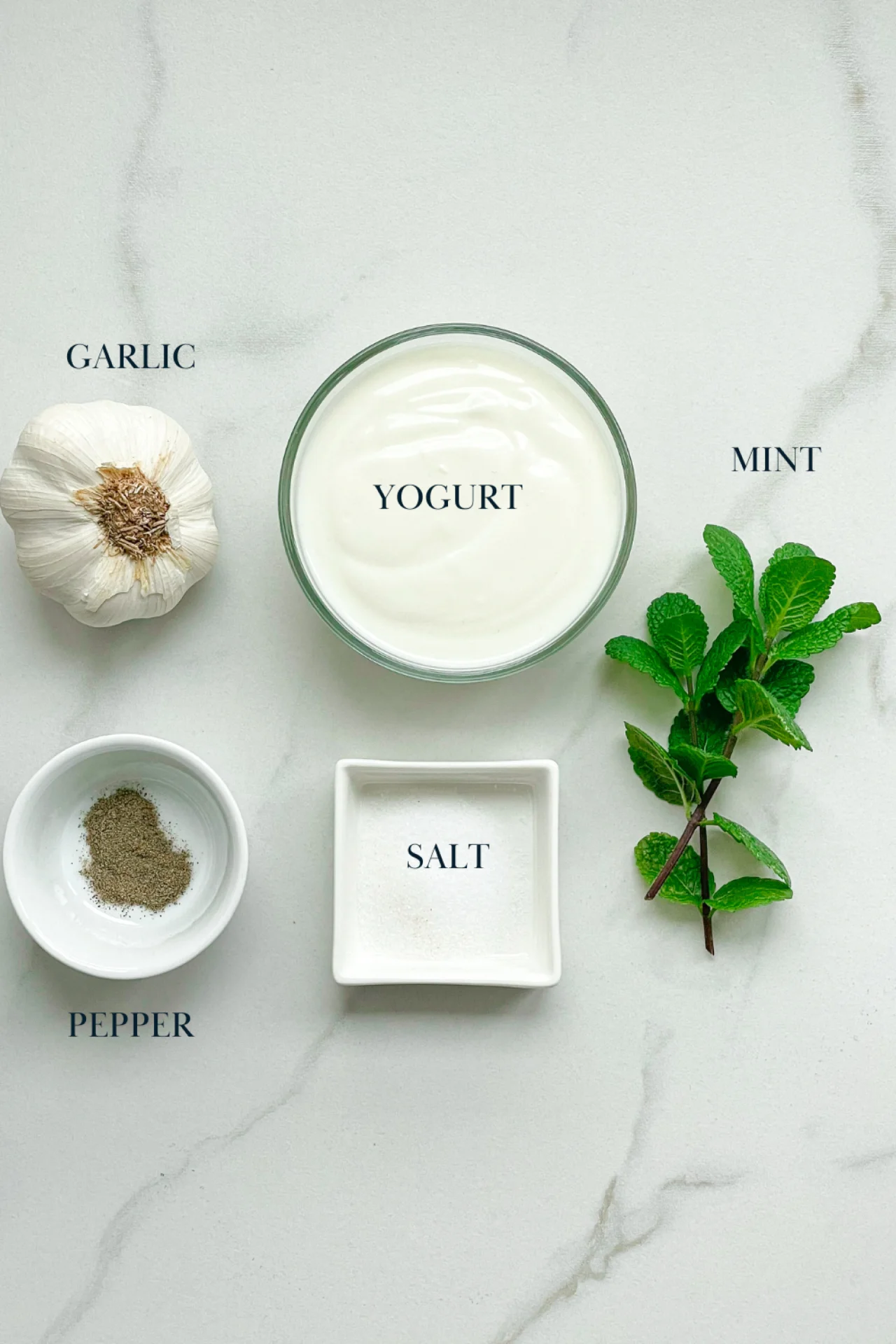 Mint Garlic Dip