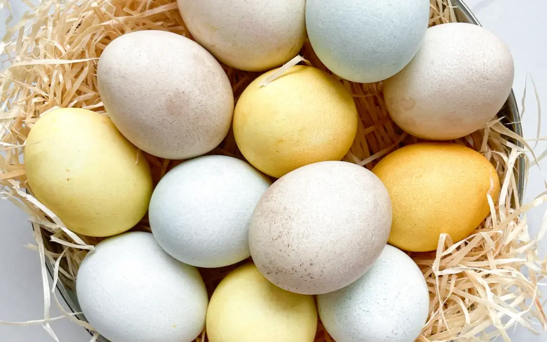 Natural Easter Egg Dye