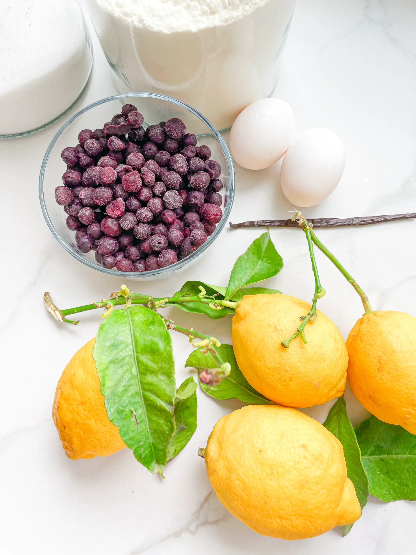 Lemon Blueberry Coffee Cake