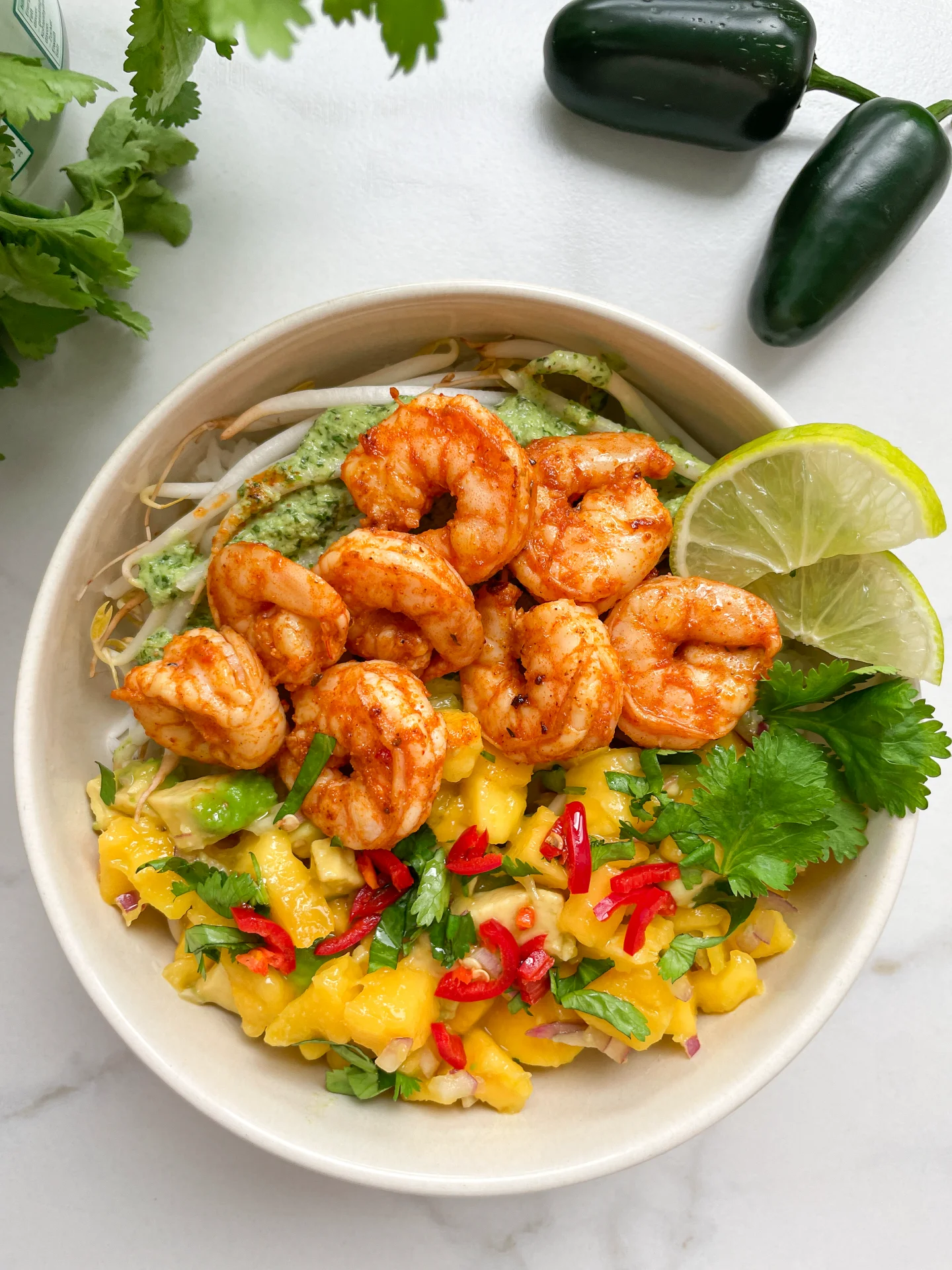 Spicy Rice Shrimp Bowl & Mango Avocado Salsa