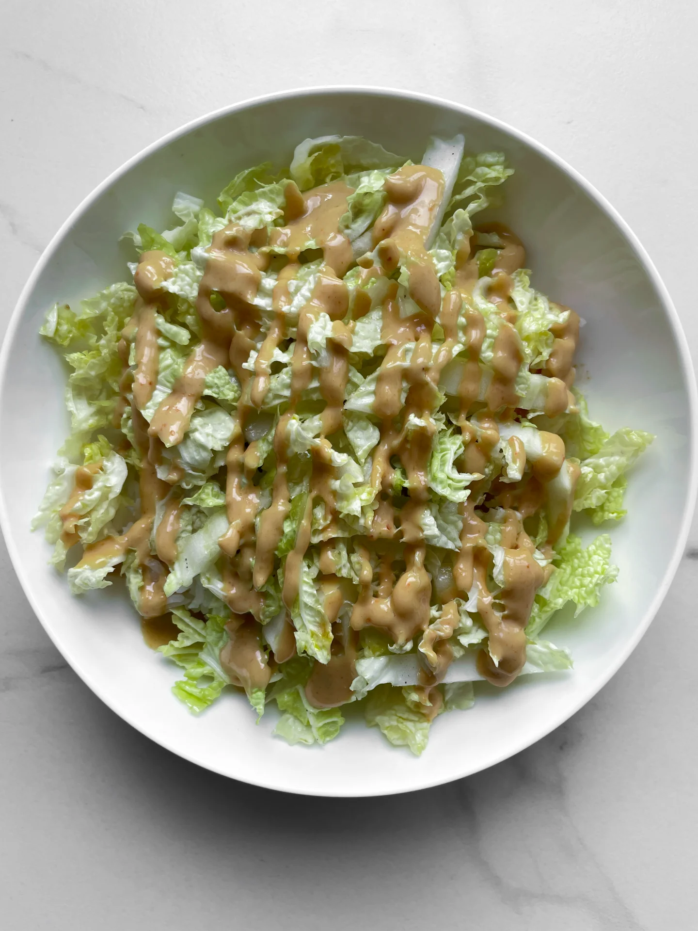 Chicken Katsudon with Napa Cabbage