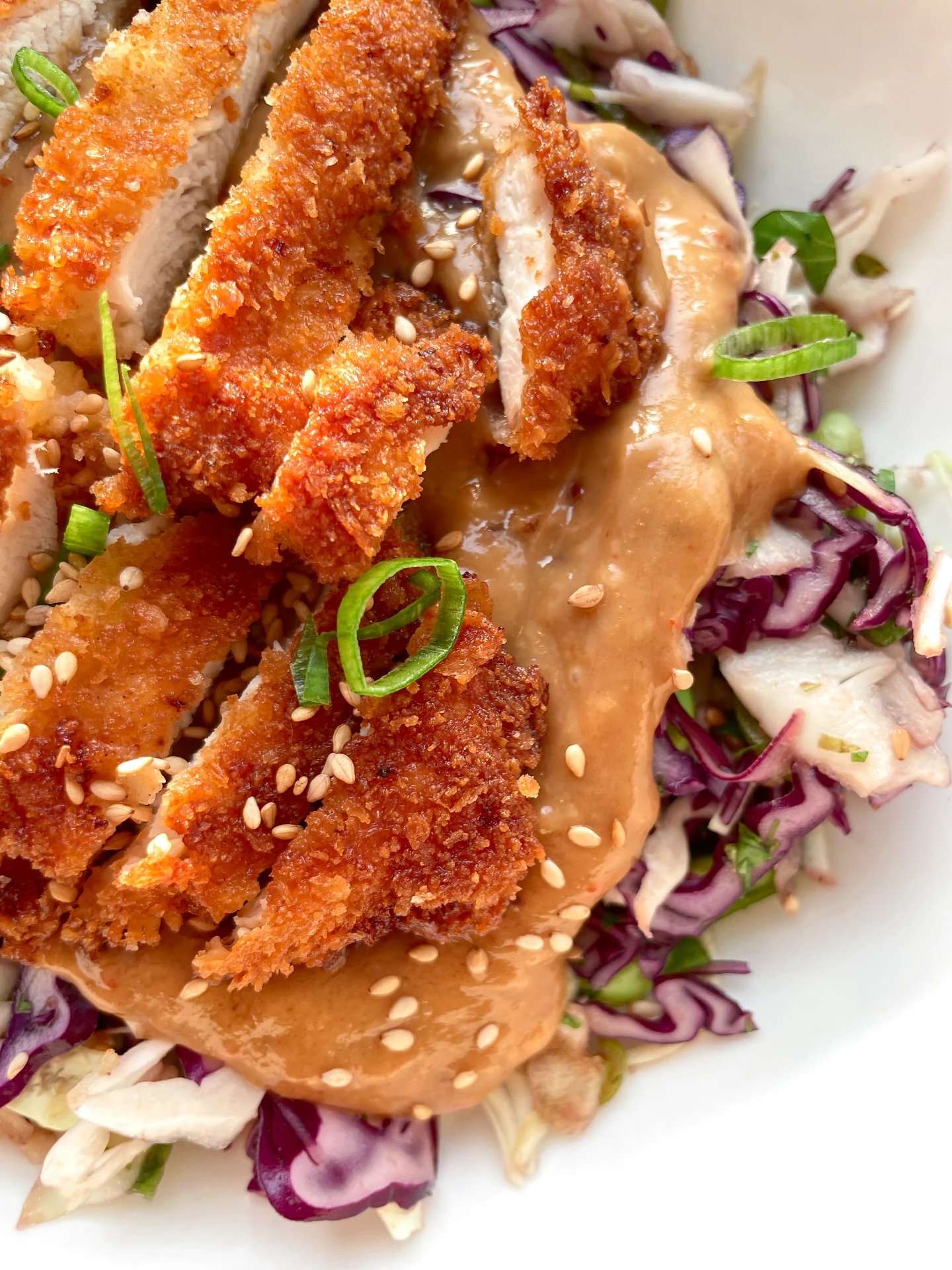 Crispy Chicken with Peanut Coconut Sauce & Edamame Slaw