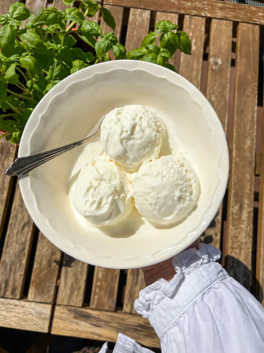 Yogurt Ice Cream