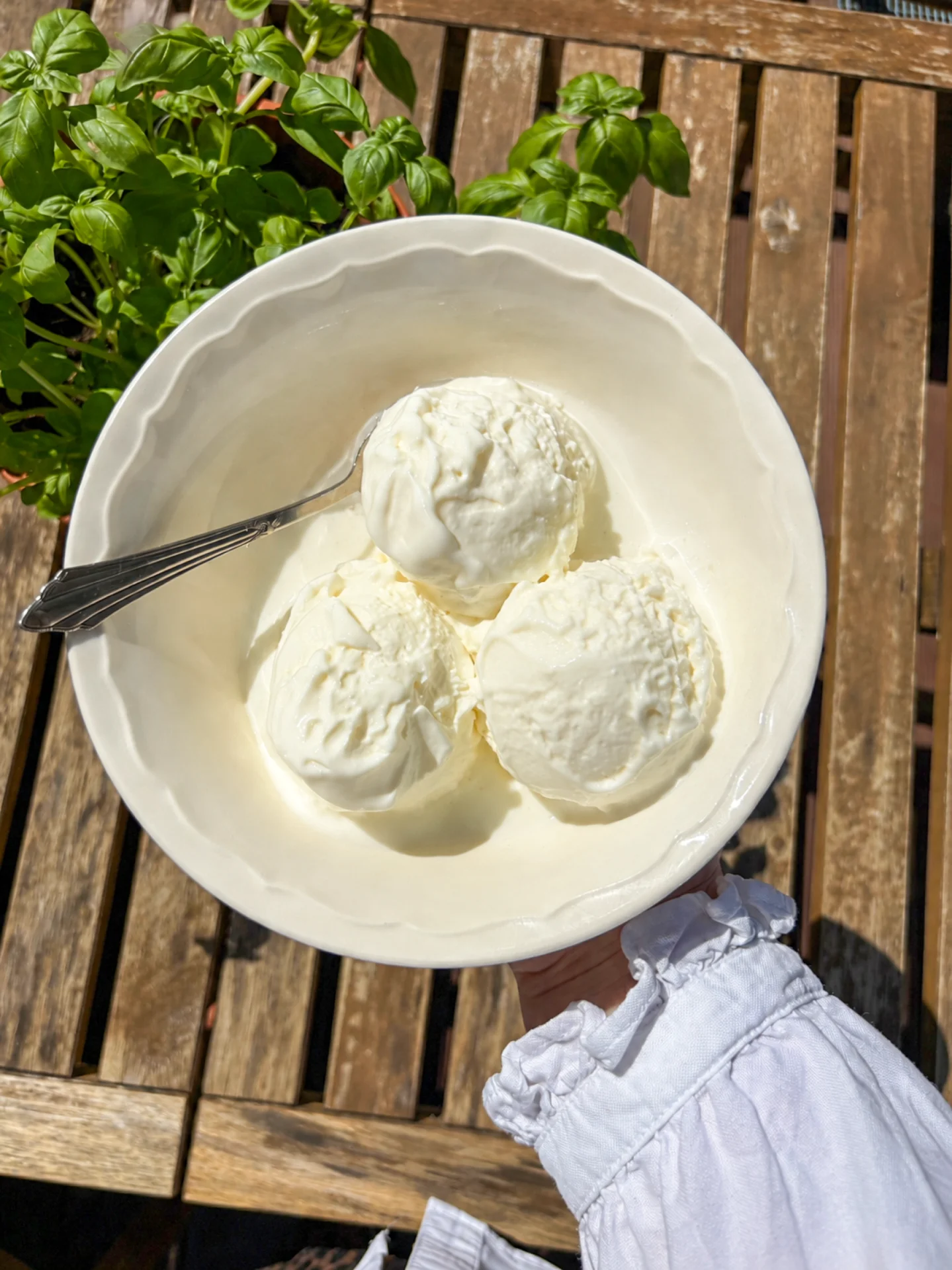 Yogurt Ice Cream